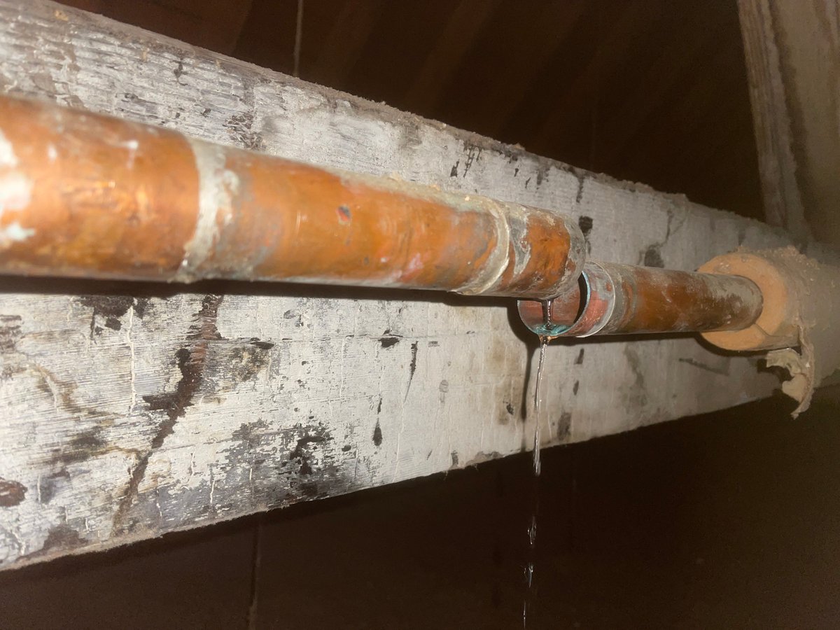 chiplumbingexp's tweet photo. Another successful burst pipe repair completed during these cold trying times in Chicago.
https://t.co/fIEJDelw3P
#burstpipes #burstpiperepair #frozenpipes #emergencyplumbers #plumberchicago https://t.co/Gk0i66rFKa