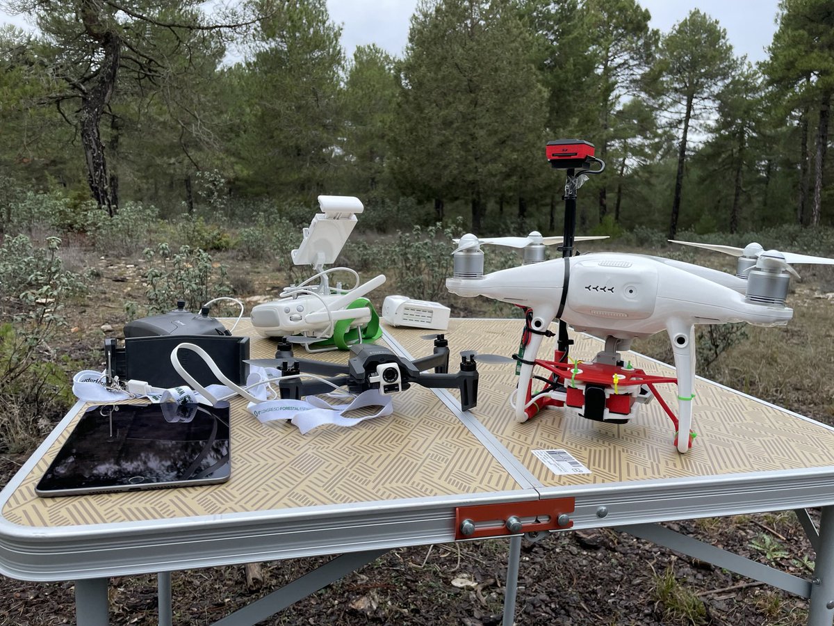 Paco Rodríguez tweet media