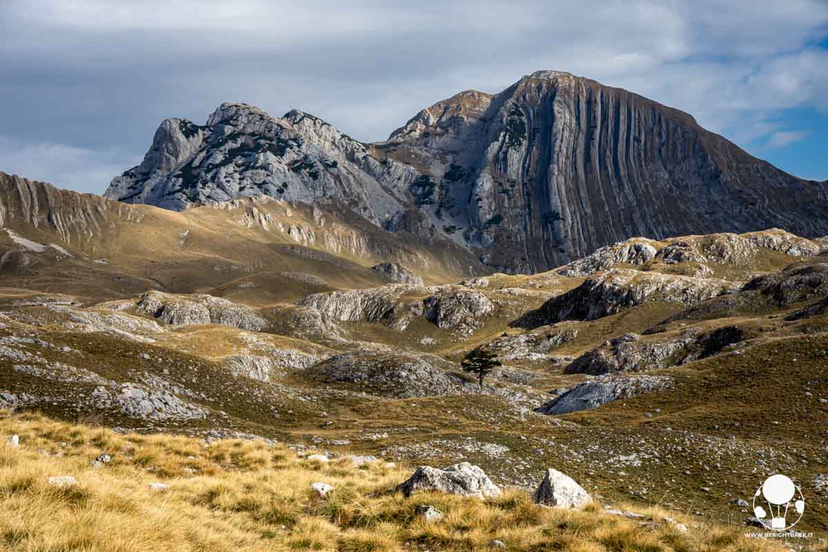 BeRightBackIT's tweet image. ⚡️Nuovo post⚡️
Le mie impressioni sul Montenegro ed il bilancio del viaggio

Pensieri, emozioni e racconto strettamente personale di tutto ciò che abbiamo fatto e visto nel meraviglioso #Montenegro @SeeMontenegro 🇲🇪

➡️ berightback.it/impressioni-su…