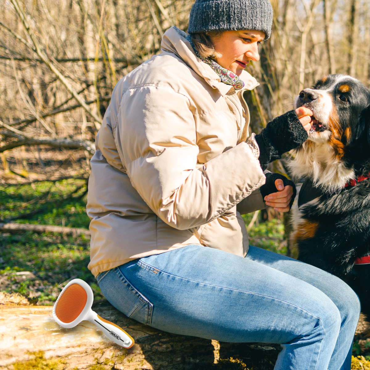 Our Large Slicker Brush is sure to keep your furry friend’s coat looking healthy! 

Shop here: 
bit.ly/3P0rDY0