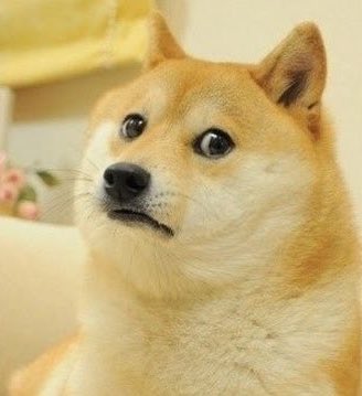 DogeVerse tweet media