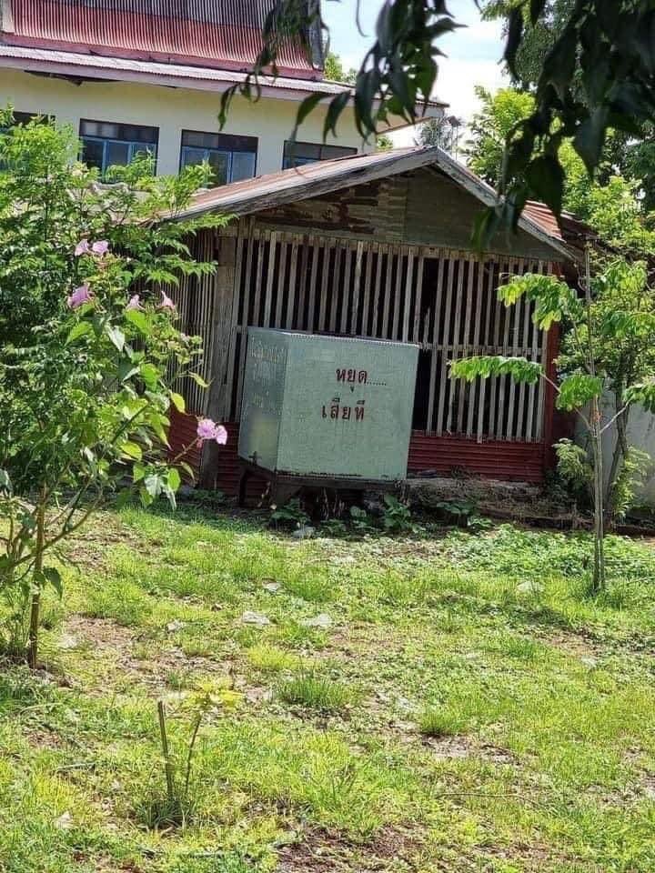 ย้ง tweet media