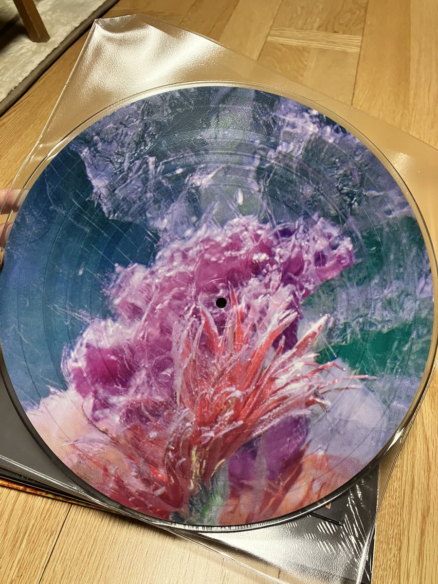 catortiger's tweet photo. 今年のレコード今年のうちに。円安無理無理期間の影響で買い逃してるのもあるけど大方買えたかな?SmileのCDはフルライブかと思ってたらラフトレの10インチと同じ2曲だった。まあiTunesに取り込めるからいいけどw
#Efterklang #Ditz #DanLyons #TheCoolGreenhouse #TheSmile https://t.co/k3L0EhnHvI