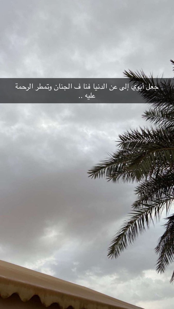 N44751255's tweet photo. #امطار_الكويت https://t.co/7znbKhazFd