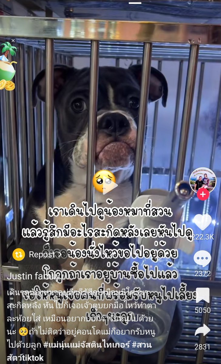 เจ๊แต๋ว tweet media