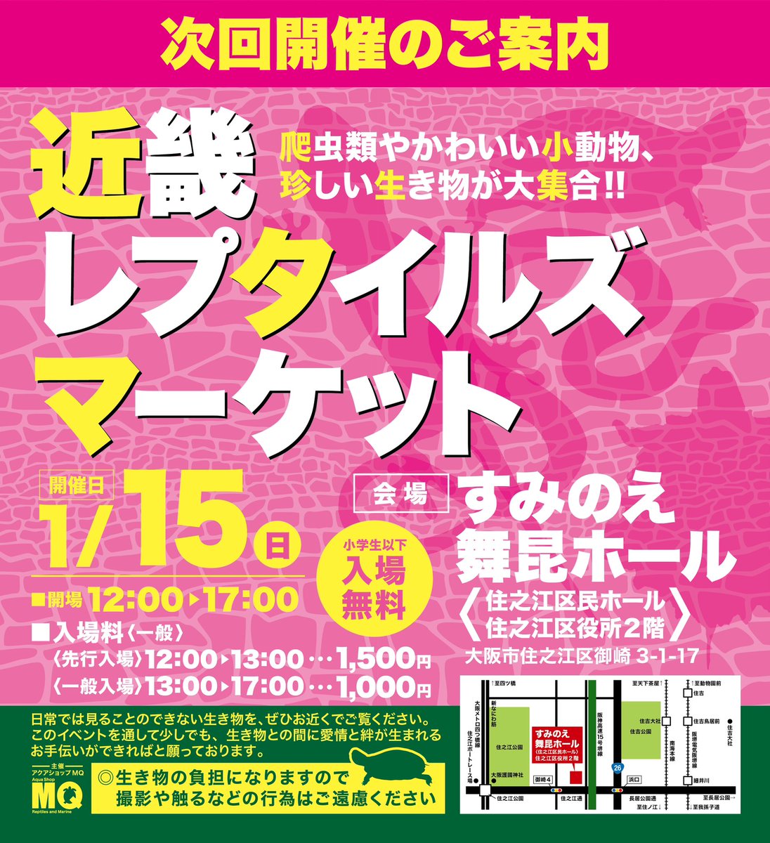 アクアショップMQ🐢5/9.10京レプ出展✨ tweet media