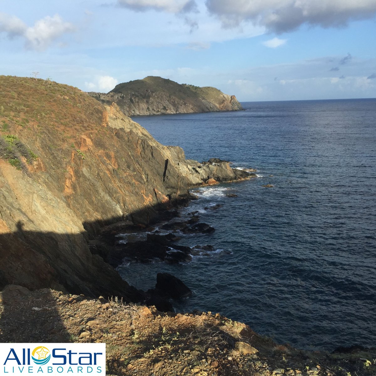 DiveASL's tweet photo. Salt Cay, British Virgin Islands
#allstarliveaboards #britishvirginislands #cuanlaw #saltcay https://t.co/WUJSCtOOF3