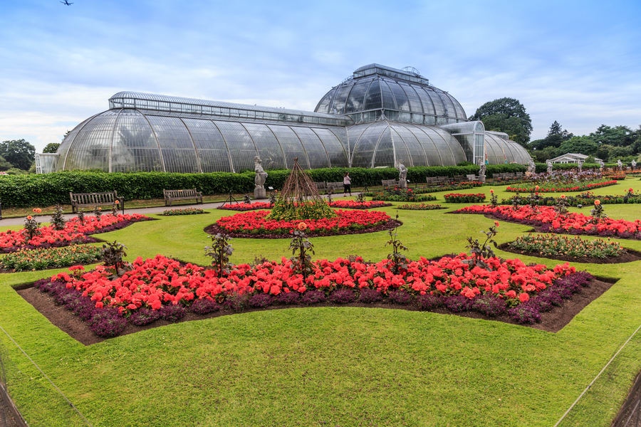 BritchamDR's tweet photo. #LugaresQueVisitar
Kew Gardens es un lugar interesante para visitar, pues además de sus 30,000 plantas vivas, cuenta con 7 millones de especímenes conservados y una biblioteca con 750,000 libros y 175 láminas y revistas especializadas.
#BritchamDR #BritchamExperience #UK https://t.co/VKWzNdet5J
