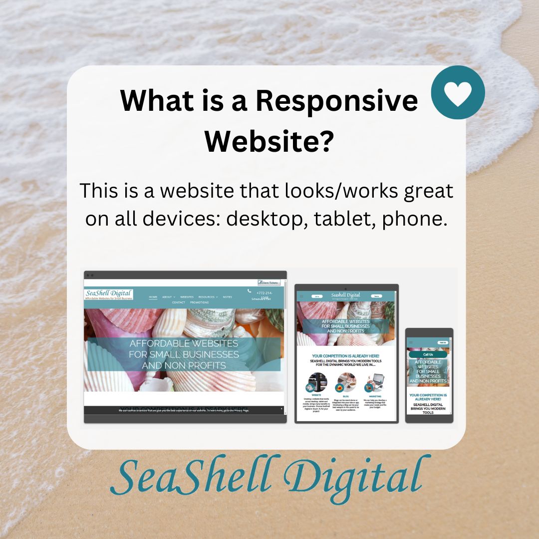 SeashellDigital's tweet image. 