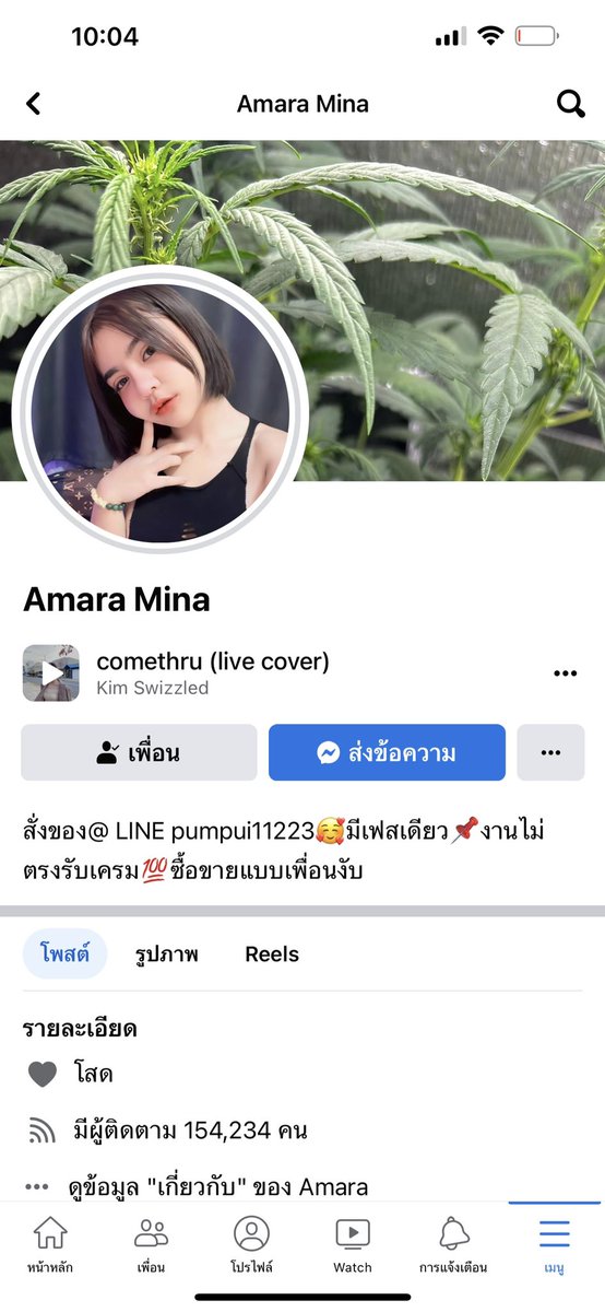 Amara mina tweet media
