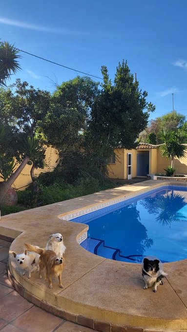 Another WARM December day here in Benidorm. Wish you were here xx https://t.co/83Ze0uDUt8