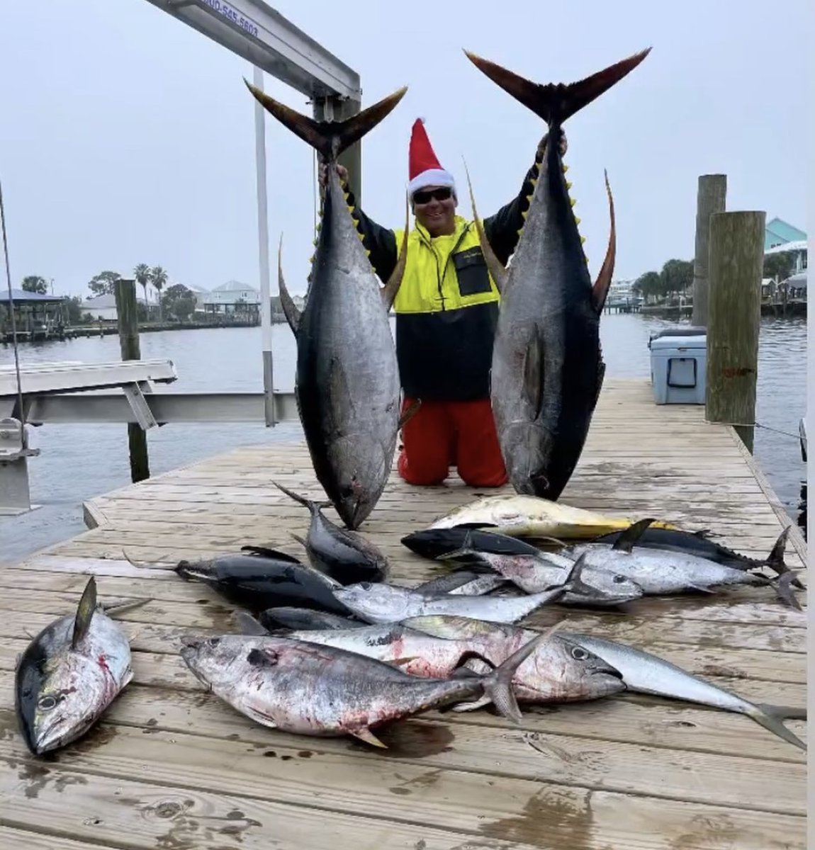 It's tuna time in the gulf -- Merry Christmas &amp; Happy New Year!