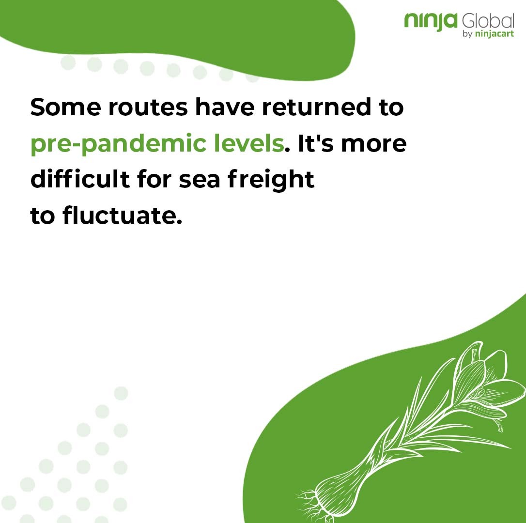 NinjaGlobal_'s tweet photo. Data shows that the total planting area of garlic in China decreased significantly in 2022. Regarding the impact on the next season’s market.
.
.
.
#garlicexports #garlic #exporters #agritech #agricultureworldwide #agriculture_global #ninjaglobal #exportersandimporters https://t.co/3BTLEccFig