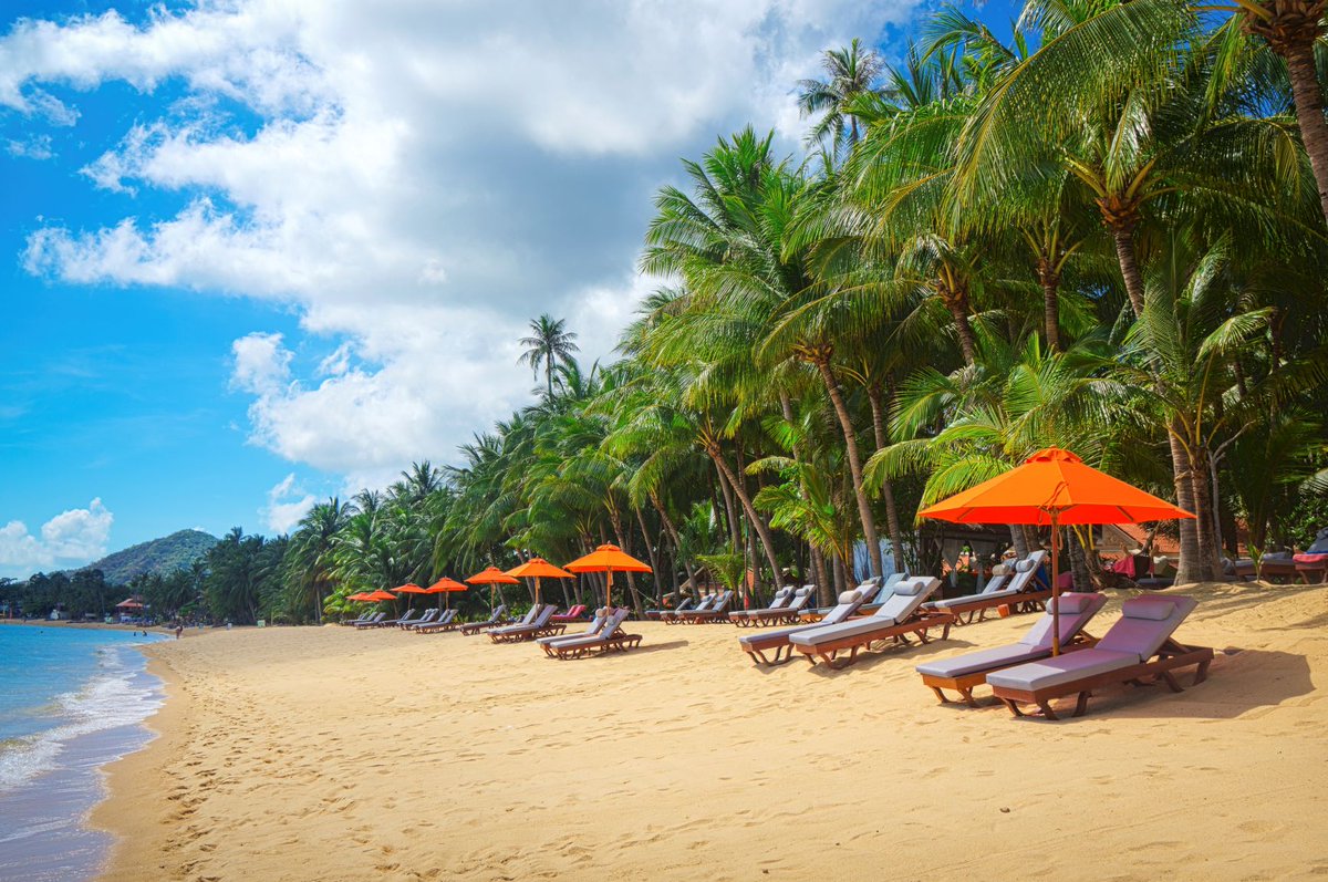 qatarairways's tweet photo. Dreaming of Thailand? 😎

Book your next adventure with #QatarAirways to the land of smiles 🎫✈️ https://t.co/OHDMNX5kEN