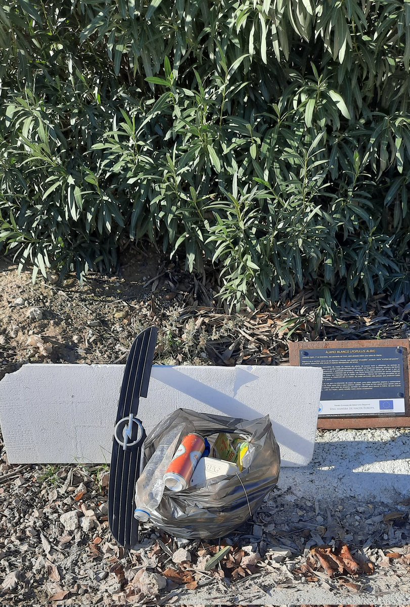 RCamachoLp's tweet photo. Corredor Verde Bajo Adarve. Aunque parezca mentira, en apenas 200 metros entrando por La Puente Llovía, ya tenía una bolsa llena de #basuraleza. ¡De pena! En el total del recorrido del Corredor verde CUATRO bolsas recogidas.
@turismodepriego 
@Subbetica 
@QuiQueBolsitas7 https://t.co/3rHlukevgo