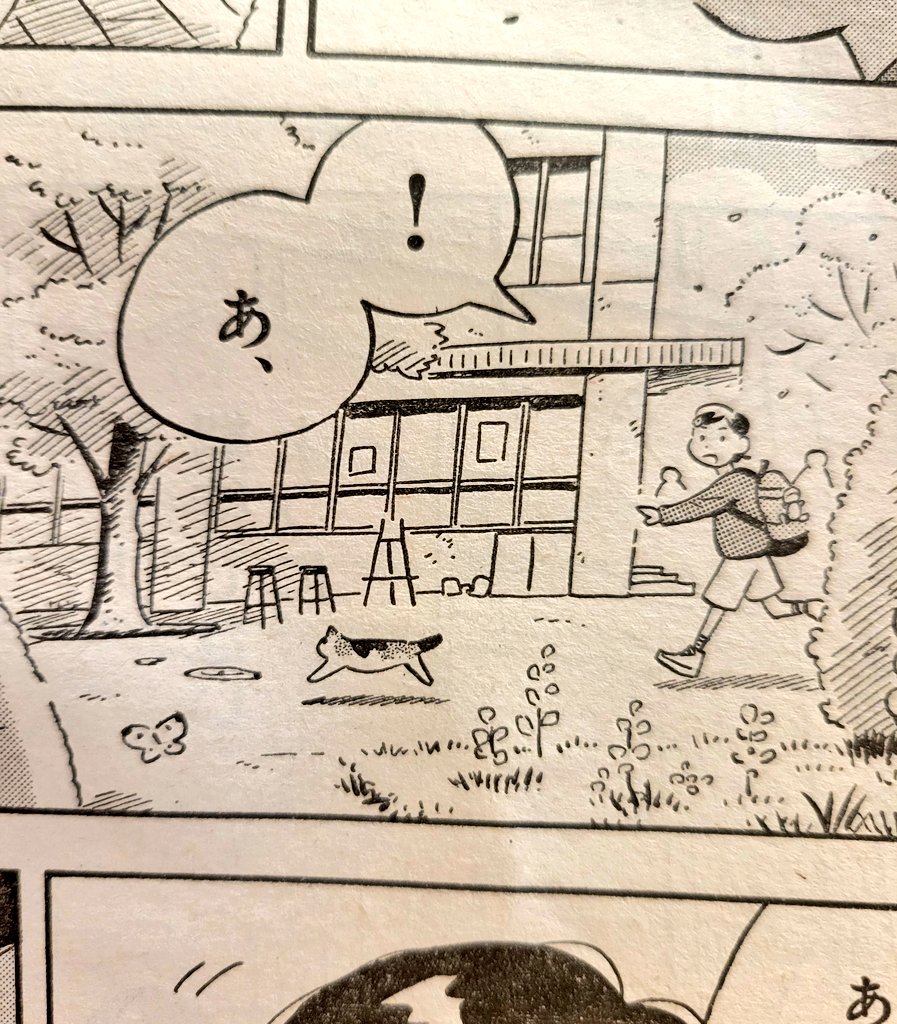 今週号のかわいい猫です。 