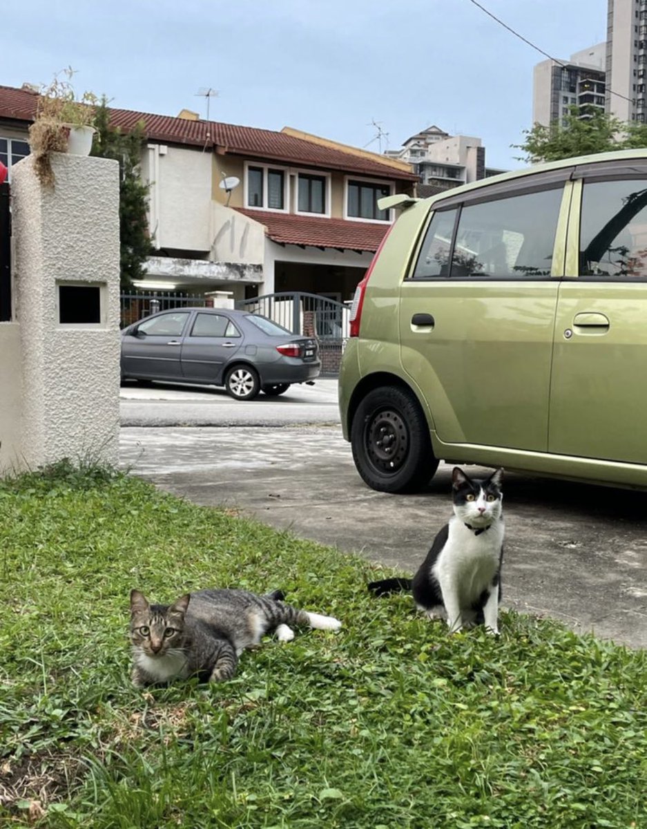ZeSpoooky's tweet photo. NEW HOUSEMATE NEEDED ✨

If you’re a young adult n always wanted to live in chill PJ, you might be the one for us! ☀️

Any race, religion, idealogy, sexuality - all welcome. 

Help us RT this! https://t.co/raGKGil0Ob