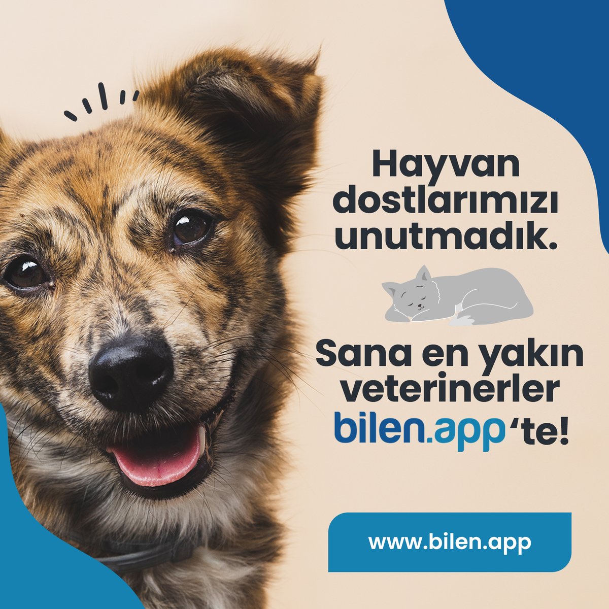 Hayatı birlikte paylaştığımız can dostlarımızın sağlığa erişimi bilen.app ile artık daha hızlı!
🐾 wa.link/rlgka3
#bilenapp #enyakınveteriner #enyakınhastane #nöbetçieczane