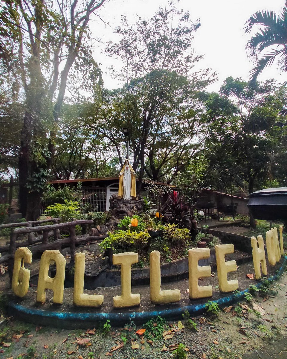 Kai&Mika 🐾🐶🐾🦋💕🦋 tweet media