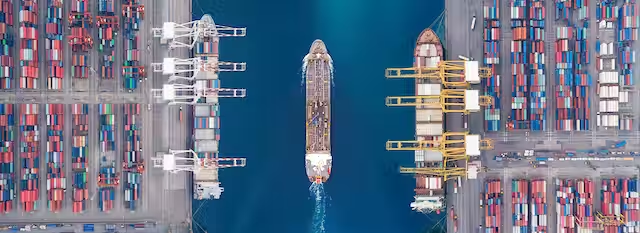 Karolina Kukielka tweet media