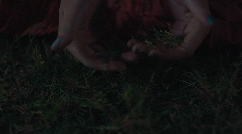 collegefilm tweet picture
