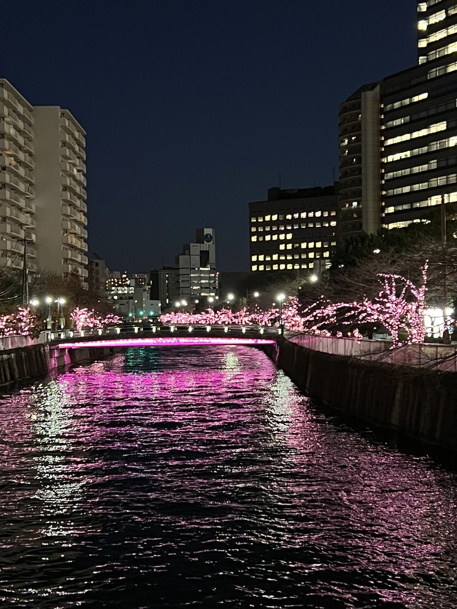 ysk_sai10's tweet photo. 北品川の旧ソニー本社ビル跡地に、オフィス移転しました。
ついにフリーアドレスを導入し、出社することの意義が増しそうです。
心機一転、より良いサービスを考えていきます。
バーカウンターも装備したので、WEB会議が多いこの頃ですが、ぜひ一度お越しいただけたらと思ってます。 https://t.co/dazUH40K8Z