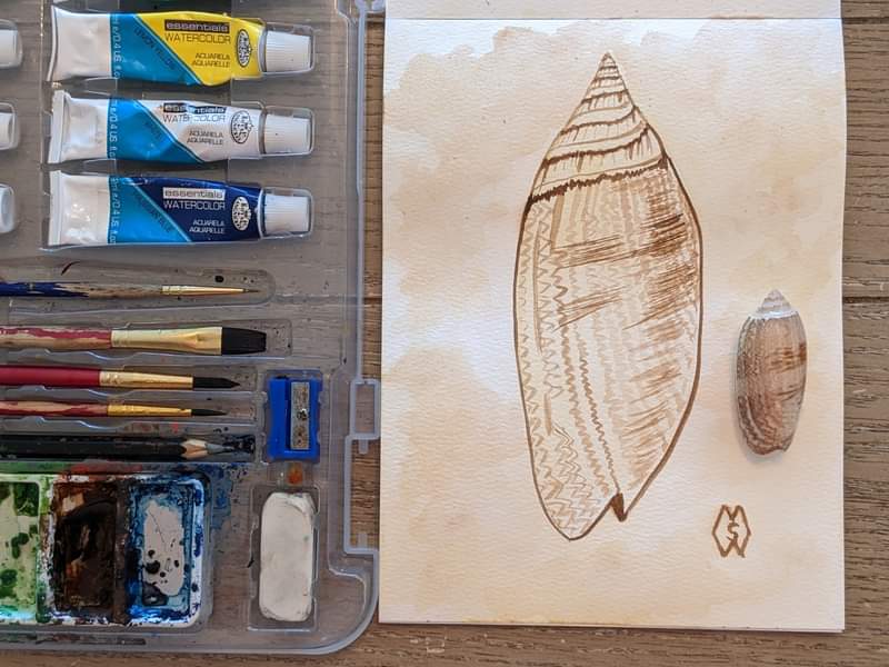 MattStarrFineA1's tweet photo. This is my 6x8 inch watercolor painting of a lettered olive shell that I found on the beach while recently in Florida. https://t.co/4zNPFiyrr8
#mattstarrfineart #shell #shells #seashell #seashells #Florida #NavarreBeach #beach #ocean #sea #shore #animals #Oliveshell #art https://t.co/OJUbbSyUvl