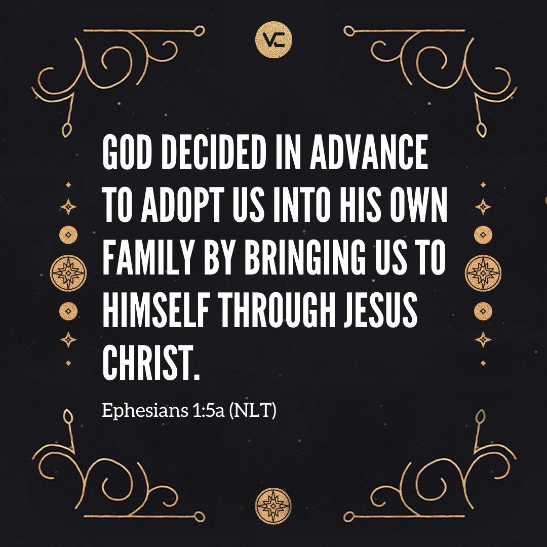 Vineyard N. Phoenix tweet media