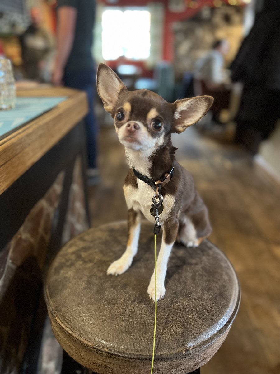 Chris Raettig @raettig@mastodon.org.uk tweet media