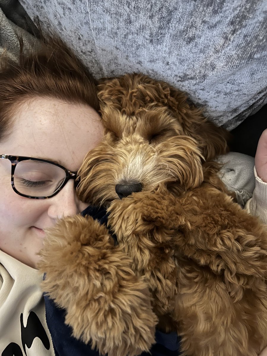 teachwithMissP_'s tweet photo. Ruby’s first Christmas was a hit!🤍 https://t.co/Q5kw7Io7X8