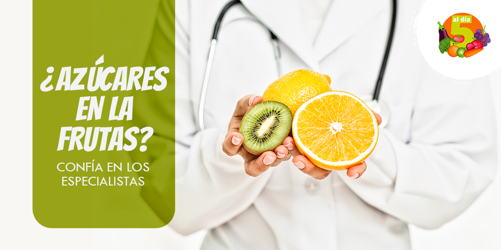 En 5 al Día, nuestra misión siempre ha sido comunicar y educar a toda nuestra comunidad sobre los beneficios que tiene para la salud, consumir frutas y verduras. Así como también, aclarar dudas e inquietudes sobre todo lo relacionado con este tema.