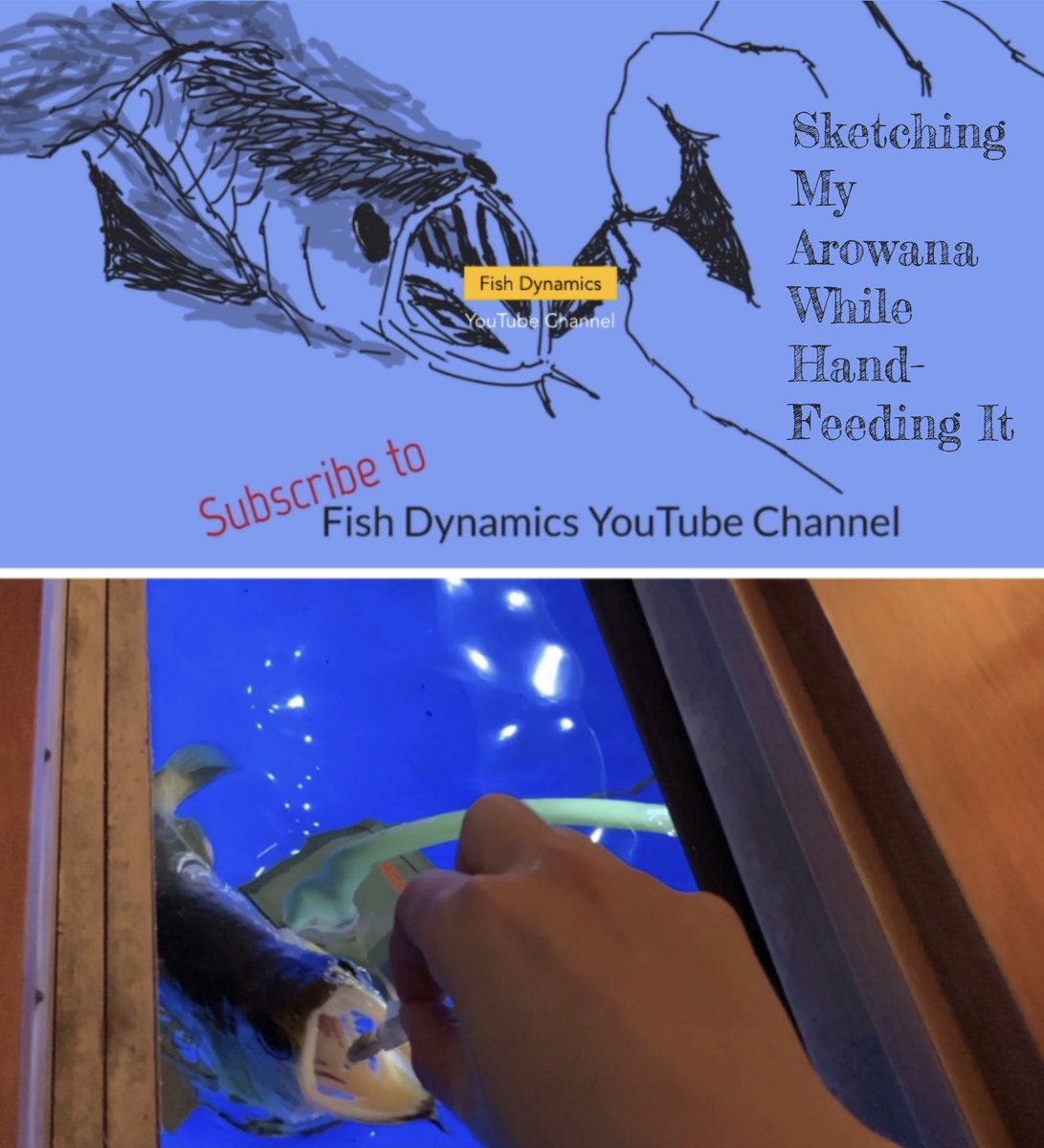 Fish_Dynamics's tweet image. Full Video in my YouTube Channel (Fish Dynamics)

youtube.com/@FishDynamics