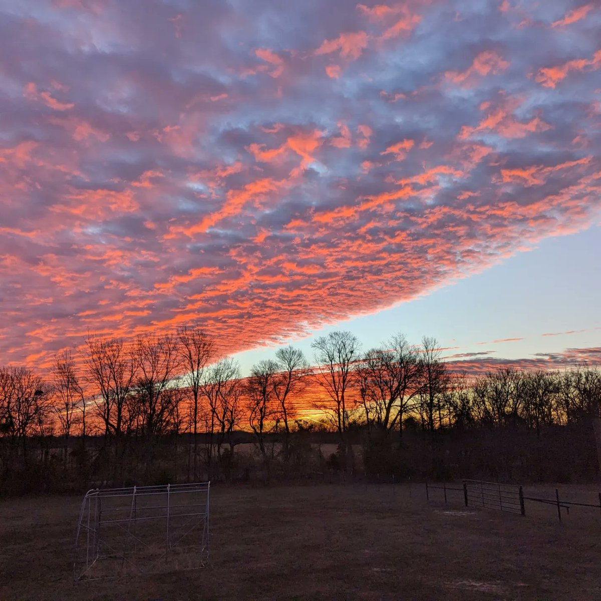 The beginning and the end of things are romantic. Like a sunrise.

But the work happens in the middle. In the blazing sun or the whipping wind.

How can we fall more in love with the middle?