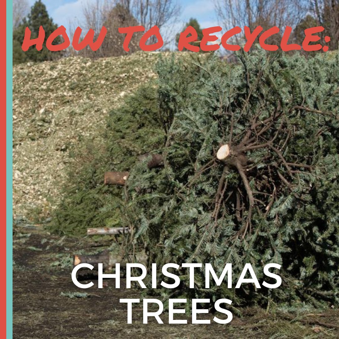 ClimateActionKC tweet media