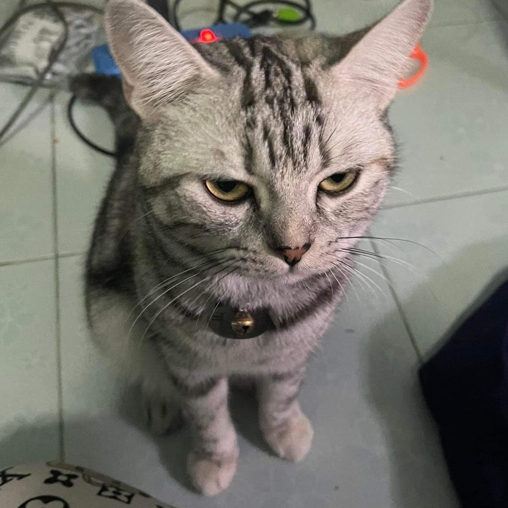 บุญคุณไม่เกี่ยว ใส่เดี่ยวได้หมด