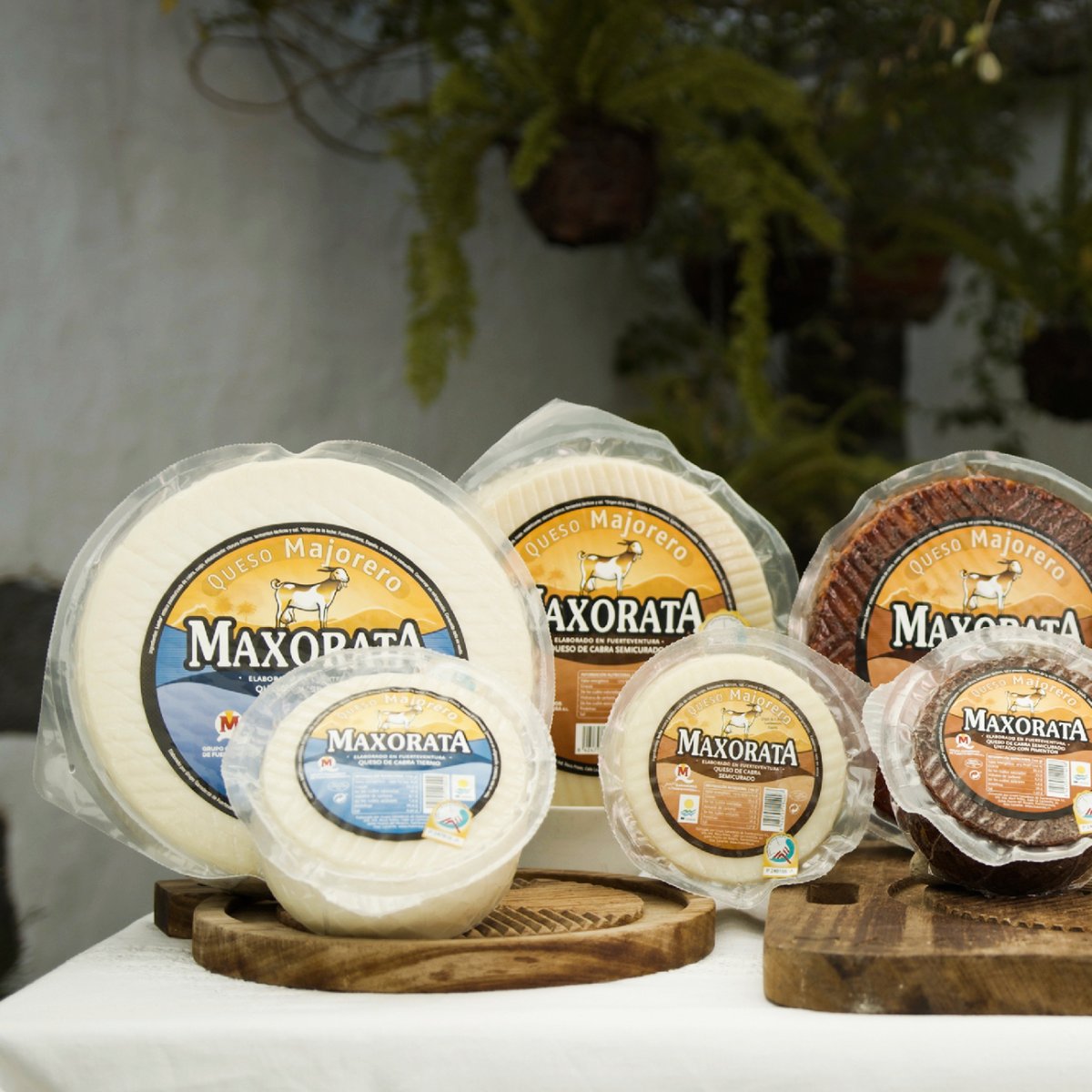 maxoratacheese's tweet photo. Equilibrado, complejo y elegante. Uno de los quesos más premiados del mundo.
#quesoscanarios #quesomajorero #quesosdop #maxorata #MaxorataCheese #elautentico #quesocanario #quesosdecabra #quesolechedecabra https://t.co/lboGGWYMm5