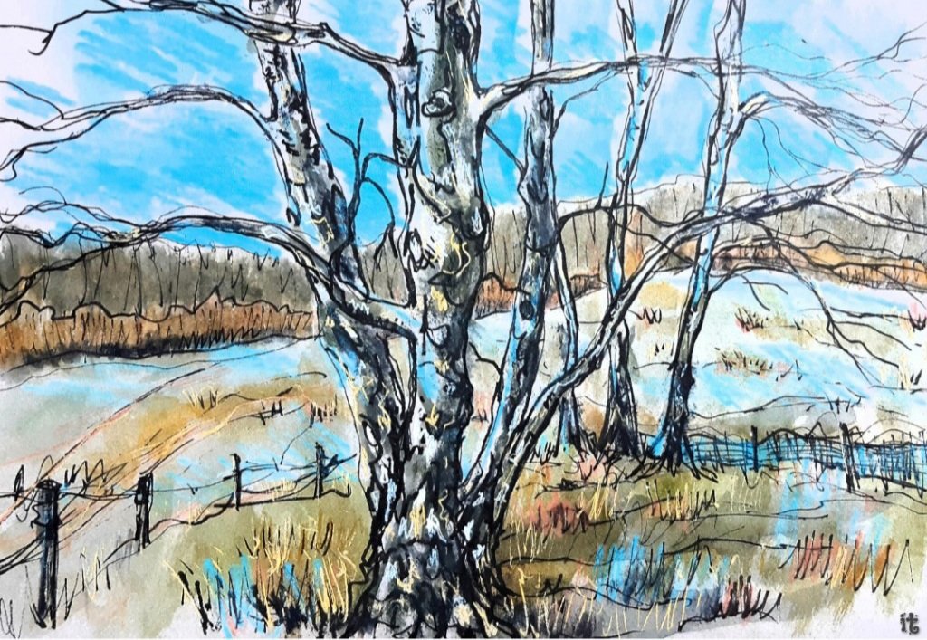 iterpstr's tweet photo. Weer ééntje mag in de schijnwerpers💙'Lost &amp; Found' #lappendeken #posbank #veluwezoom #winter #aquarel #pleinairpainter #berken https://t.co/aIM0ePym2Y