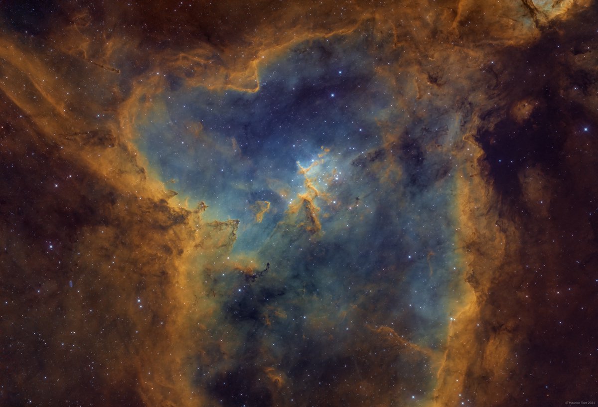 Maurice Toet tweet media