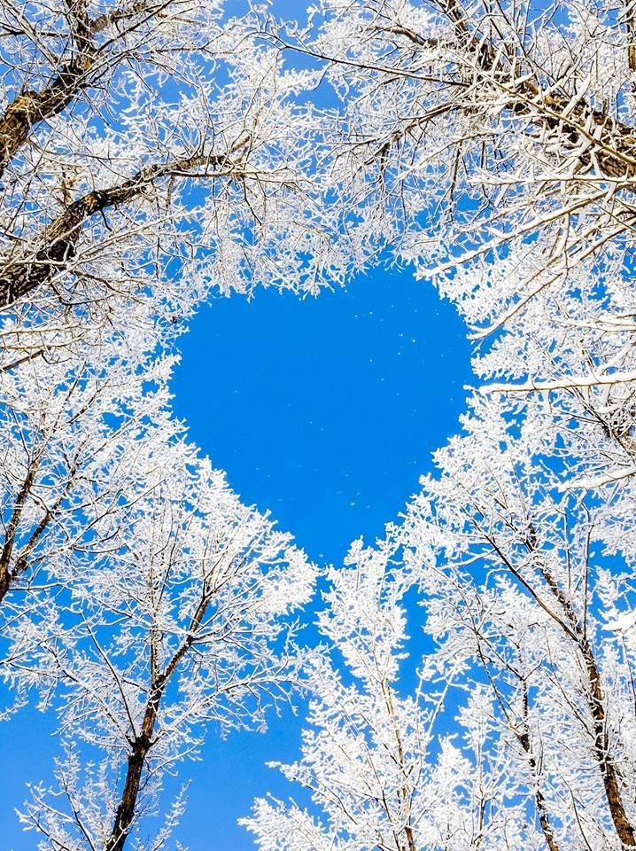 Courtne01902351's tweet photo. #nature https://t.co/x4ItKGnU5J