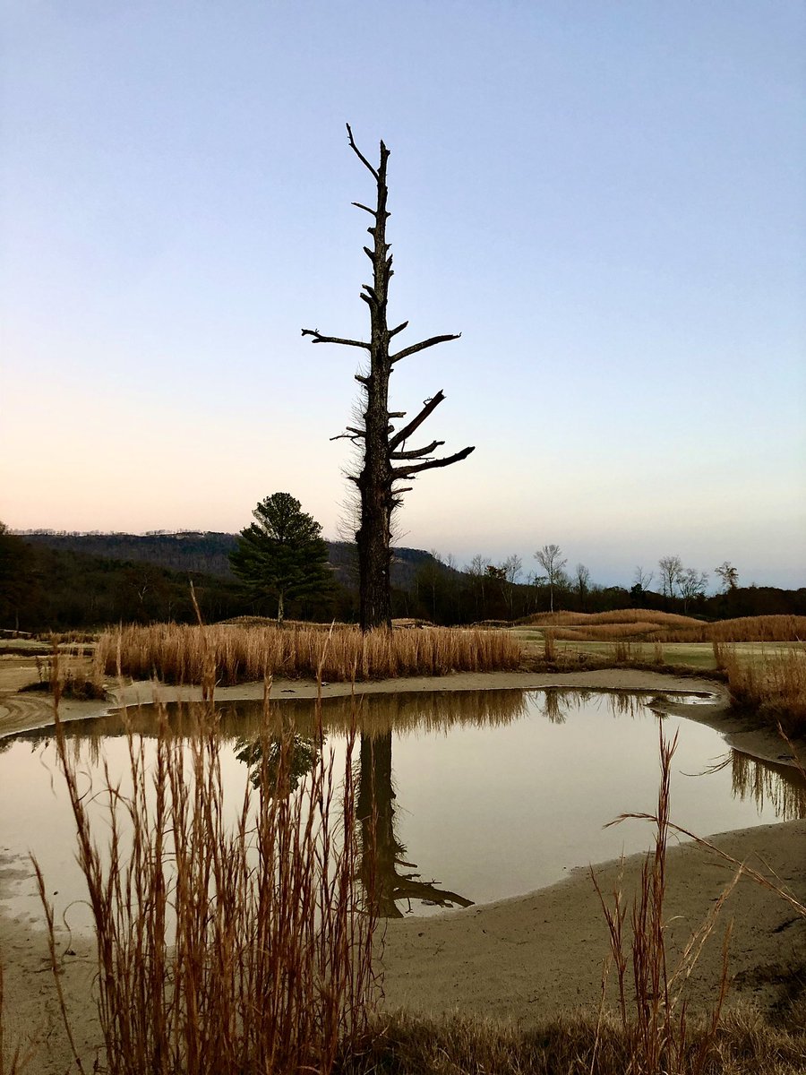 dormy26's tweet photo. @JimHHartsell @SweetensCove Gone but not forgotten https://t.co/ufLup9ShnQ