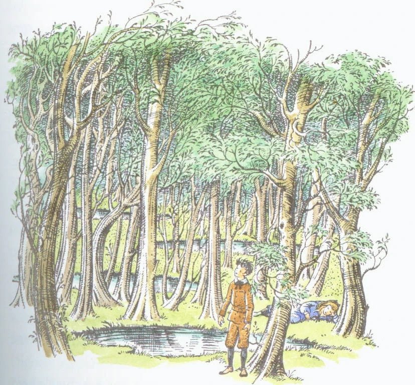 SeaJay❇️ tweet media