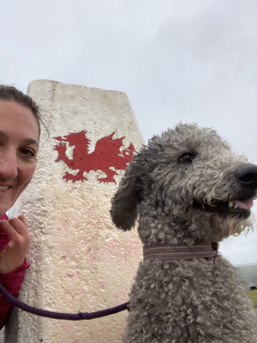 9yrs, here goes again…

It was today, I arrived at the #southpole becoming the first person to cycle there! #GuinnessWorldRecord 

I celebrated by taking my darling Yoko up the #garth #hill in #wales in the rain…brilliant! 

amazon.co.uk/Cycling-South-…