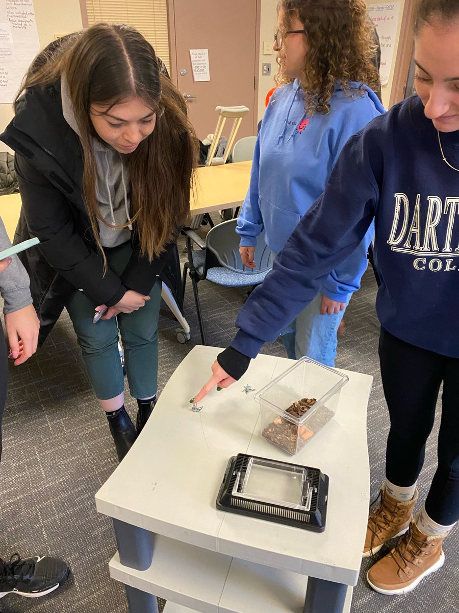 TJ McKenna tweet media