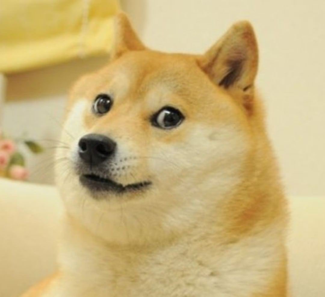 NEXTA on Twitter "The famous dog Kabosu, who became the hero of the