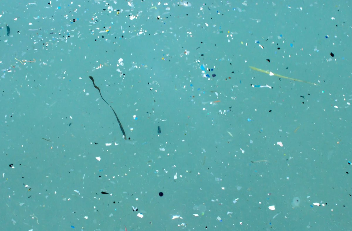 🌊 Microplastics from paint that enter the ocean each year could be as high as 1.5-2.25 million tonnes. 🧴 To put it in context, that’s the equivalent of 150-225 billion plastic bottles. You don't need to worry about that with AERO.