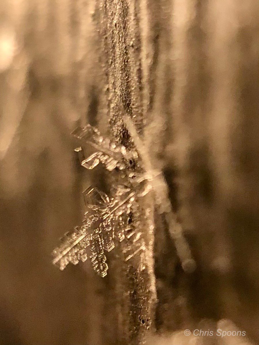 Frost clinging to a doorframe.

#Winter #frost #ilwx #NaturePhotography #TwitterNatureCommunity #MacroPhotography #ThePhotoHour <a href="/MacroHour/">#MacroHour 🌿</a> <a href="/EarthandClouds/">Earth and Clouds</a> <a href="/EarthandClouds2/">Earth and Clouds II</a> @LensAreLive