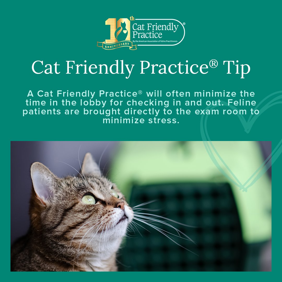 CatVets's tweet photo. A Cat Friendly Practice® will often minimize the time in the lobby for checking and out. Feline patients may be brought directly to the exam room to reduce stress.
https://t.co/eTets7m0cn
#CatFriendlyPractice #CatFriendly10 https://t.co/bzVekFWYbv