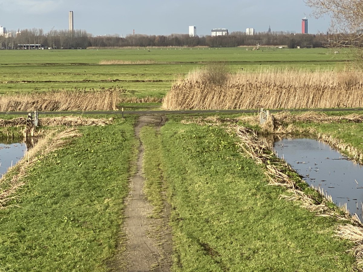 netconlolke's tweet photo. Wandeling door de polders tussen Rotterdam en Delft. Start station Schiedam Centrum, finish station Delft Campus https://t.co/5BjWyopysI