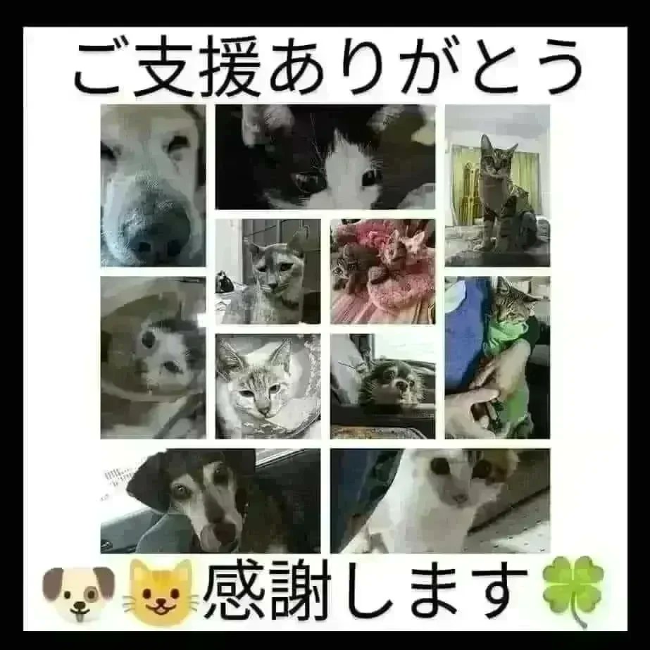 izumi20325's tweet photo. https://t.co/z2hs7d6PhF