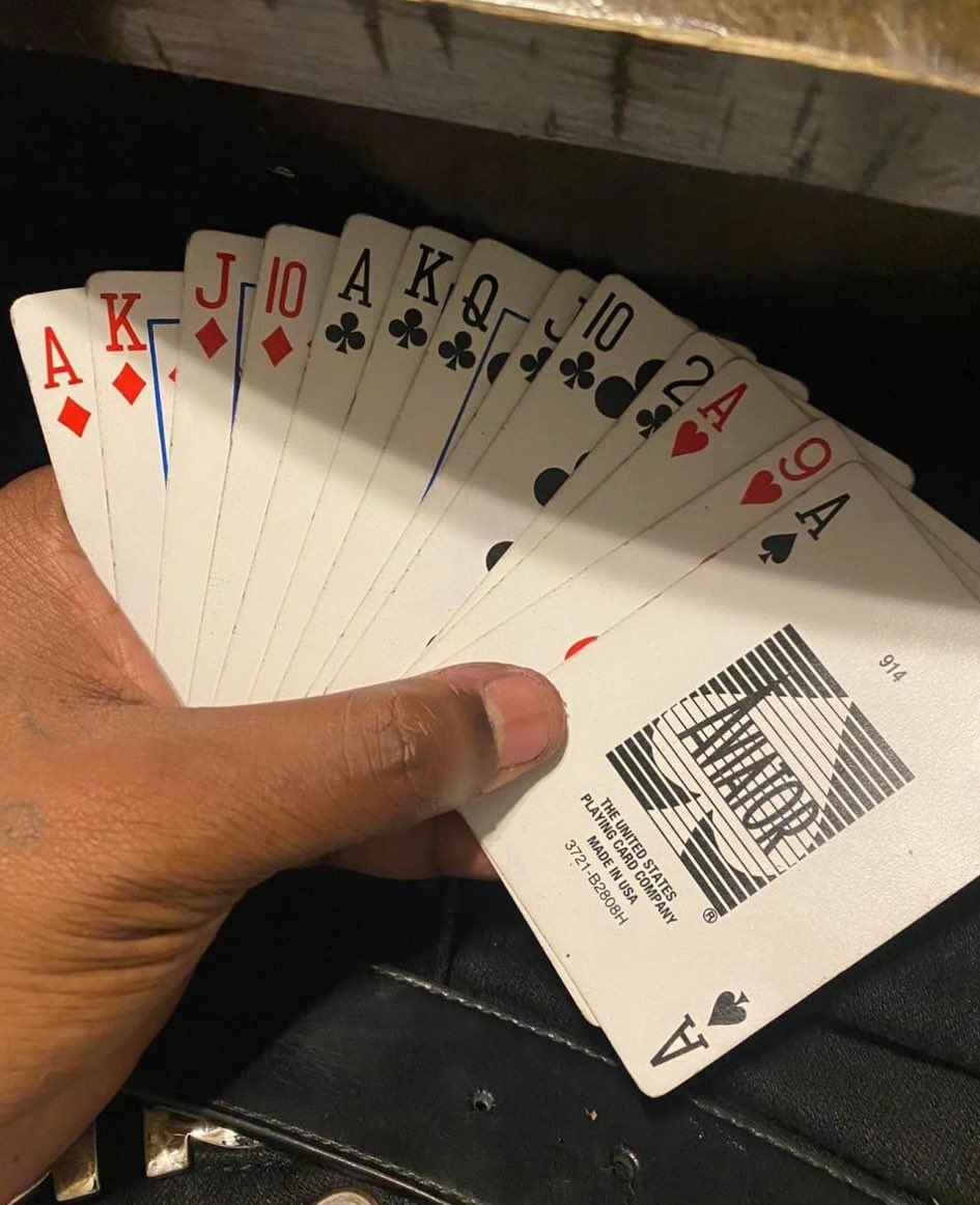 Thaddy Bear Collections 🐻 tweet media